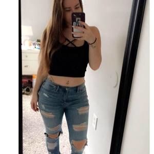 Meet your Posher, Josie